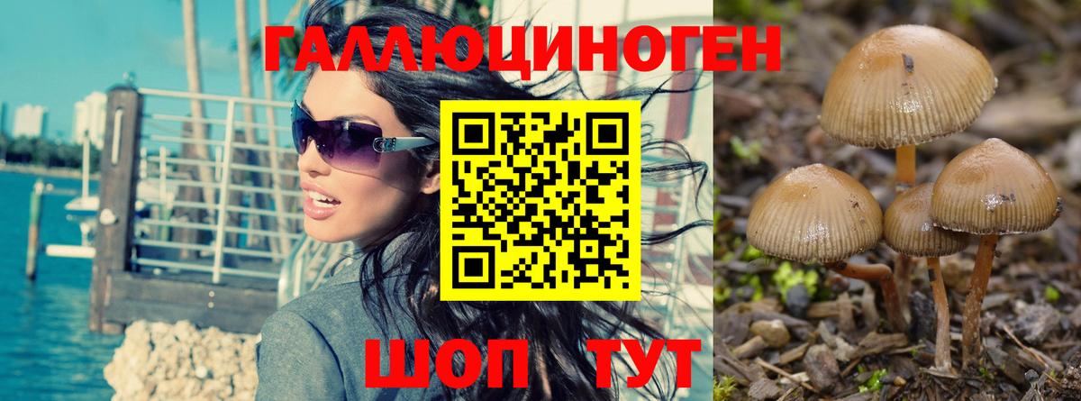 Галлюциногенные грибы Magic Shrooms  Вход с VPN  Сызрань 
