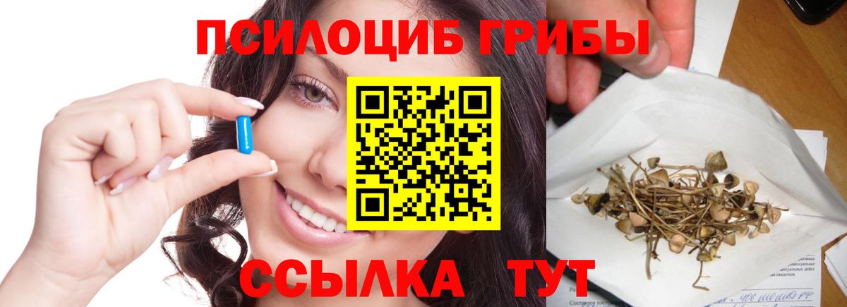Псилоцибиновые грибы Cubensis Сызрань